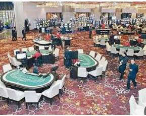 彩神VIl彩票免费版